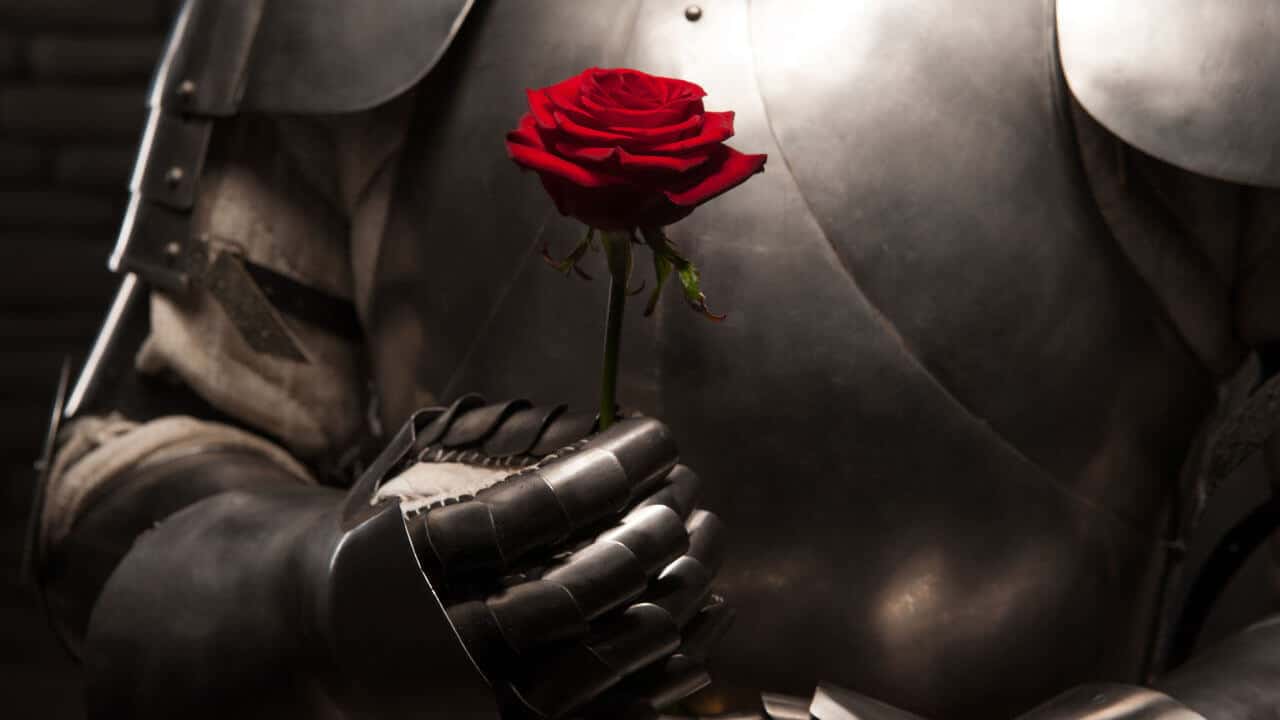 Armadura con rosa roja