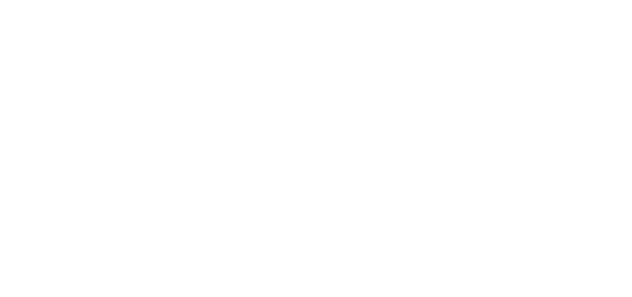 Logo de Elaine Féliz versión 2024 (Blanco).